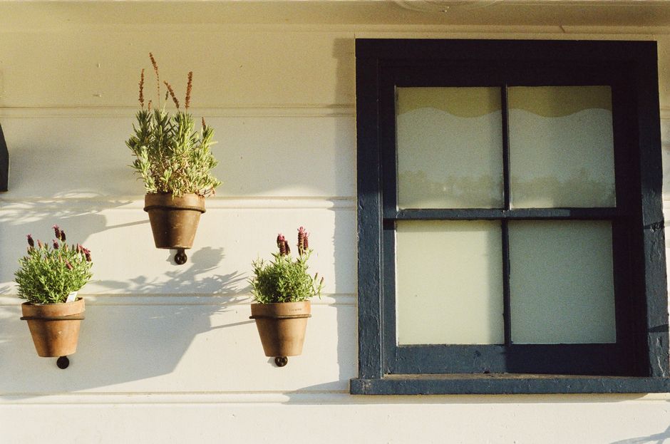 Vertical Planter with a soft curved silhouette — home · Garden & Outdoor