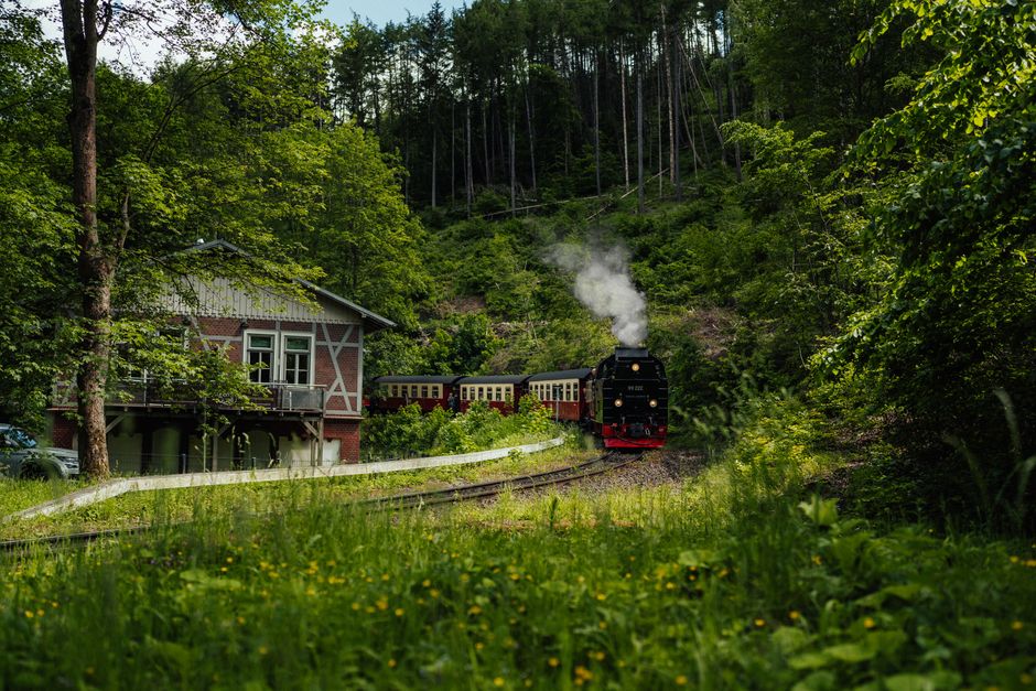 Scenic Train Ride with a scenic picnic — travel · Couples Travel