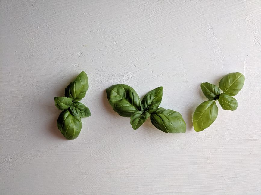 Pesto Tortellini Picks with a roasted pepper spread — food · Party Food