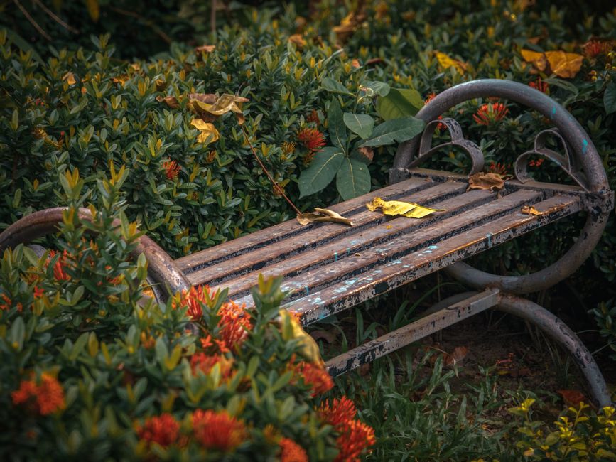 22 Garden Bench ideas