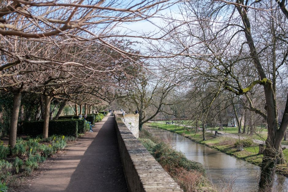 River Path for a desk-bound afternoon — wellness · Walking & Outdoor