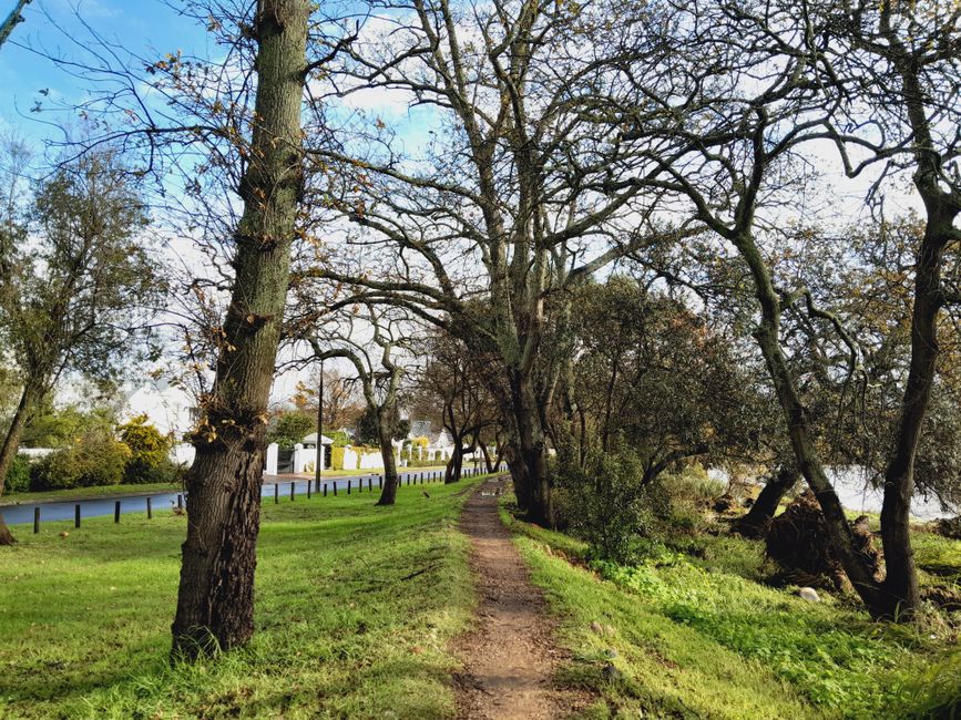 River Path during a weekend morning — wellness · Walking & Outdoor