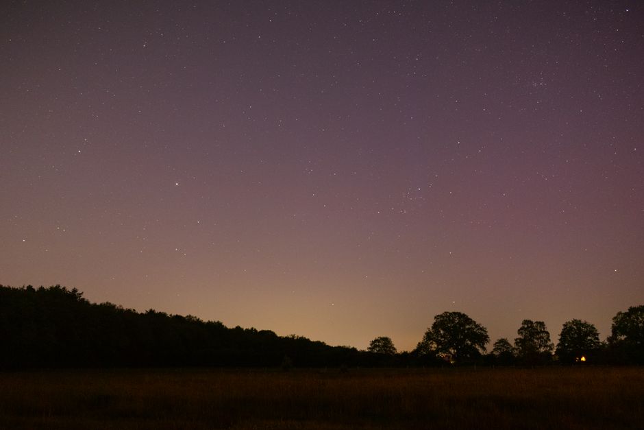 Stargazing Meadow near a hidden garden — travel · National Parks