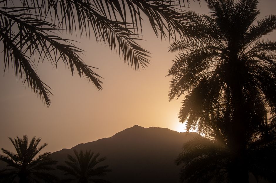 Golden-Hour Silhouette for a weekend project — diy-creativity · Photography
