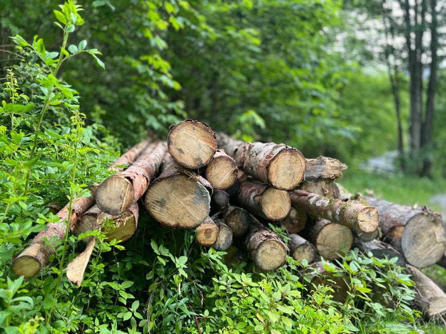 Confidence Log when you want to try something new — lifestyle · Personal Growth