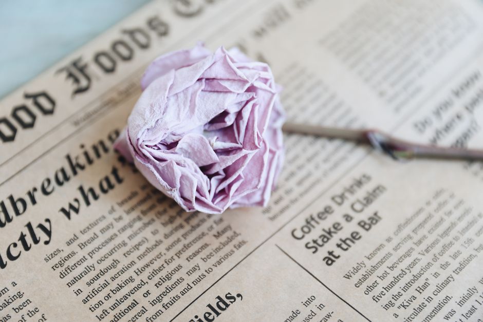 Layered Paper Flower for a rainy afternoon — diy-creativity · Paper Crafts