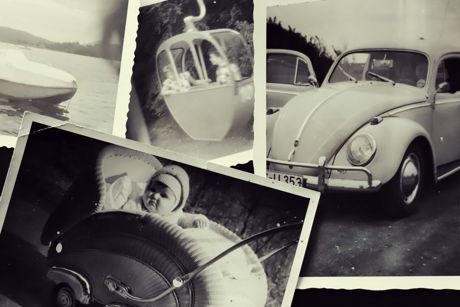 Photo Collage using pressed botanicals — diy-creativity · Creative Projects