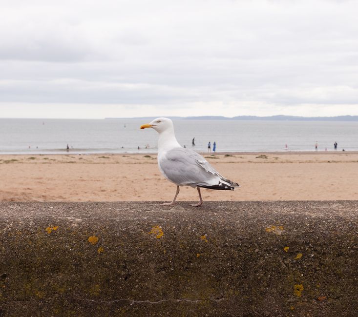 Coastal Village Stroll with a local dessert stop — travel · Weekend Getaways