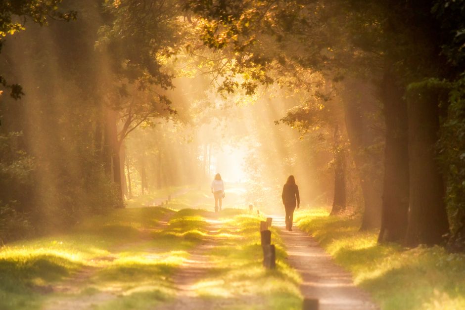 Sunrise Walk with a gratitude prompt — wellness · Walking & Outdoor