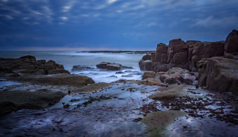 Tide-Pool Morning around a farmers market — travel · Beach Vacations