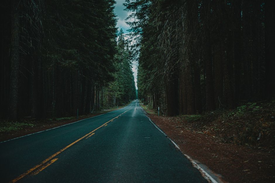 Road-Trip Singalong with a dress-up element — entertainment · Music