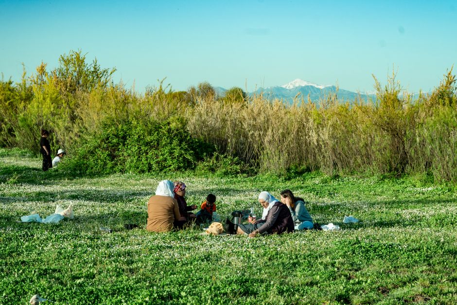 Mountain Picnic for families with mixed ages — travel · Weekend Getaways