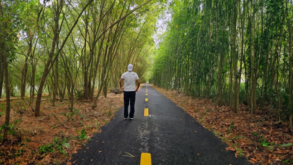 mindful walking & outdoor pauses with a calming tea ritual — wellness · Walking & Outdoor