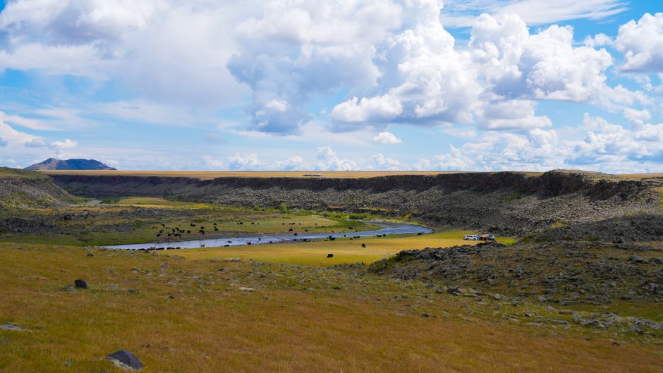 Wildlife Viewing Pullout near a hidden garden — travel · National Parks