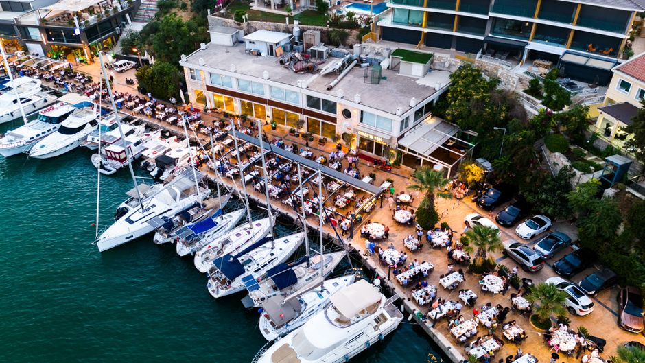 Harbor Dinner for first-time visitors — travel · Couples Travel