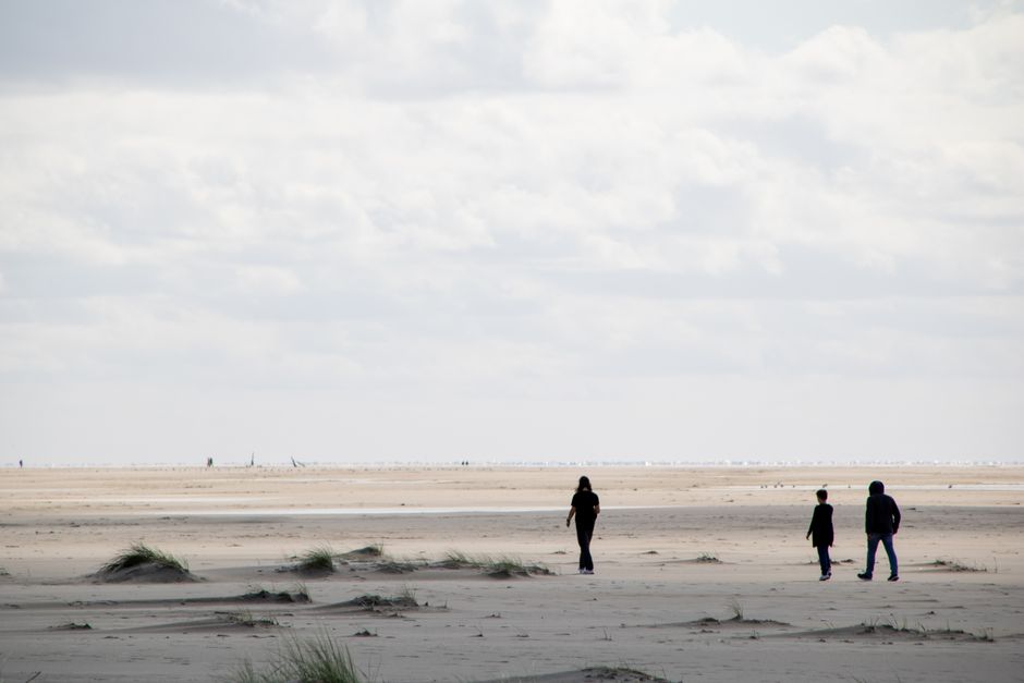 Beach Stroll with a simple journaling cue — wellness · Walking & Outdoor