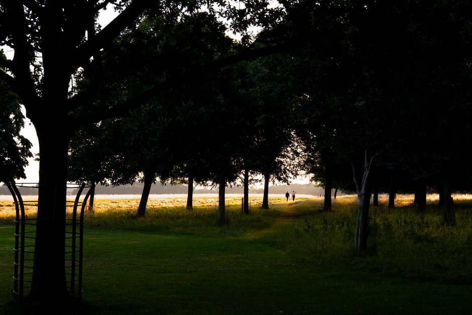 Quiet Walk with a friend nearby — lifestyle · Self-Care