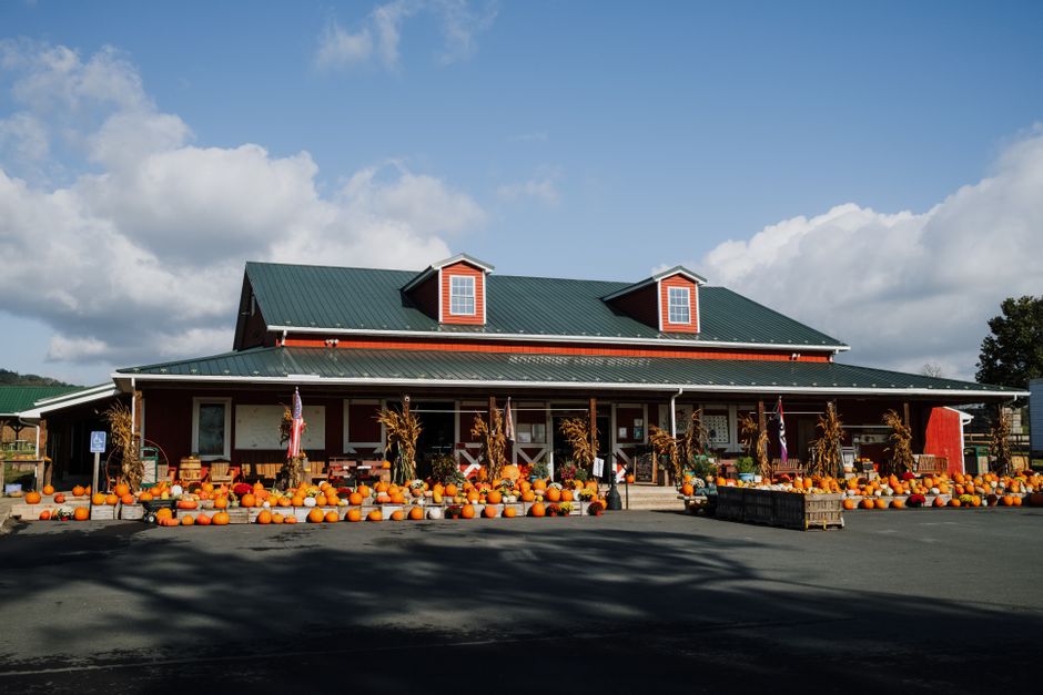 Roadside Farm Stand for a budget-aware traveler — travel · Road Trips