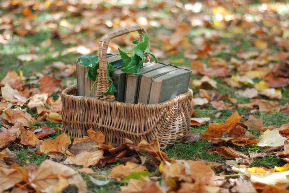 Book lover's basket