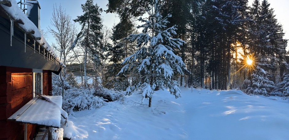 Cabin Morning around a bookstore visit — travel · Weekend Getaways