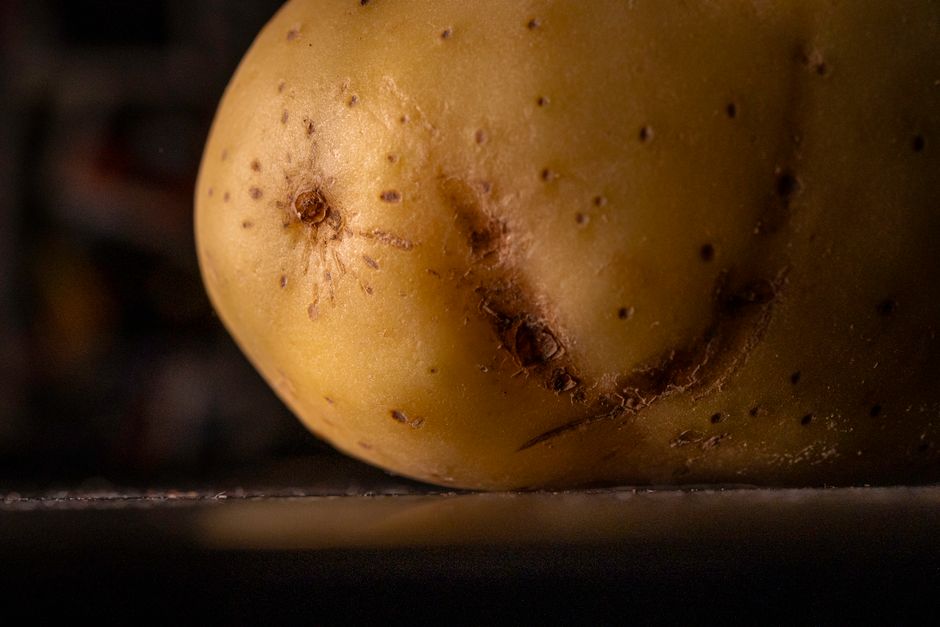 Baked Potato Bar for comfort food cravings — food · Food & Hosting