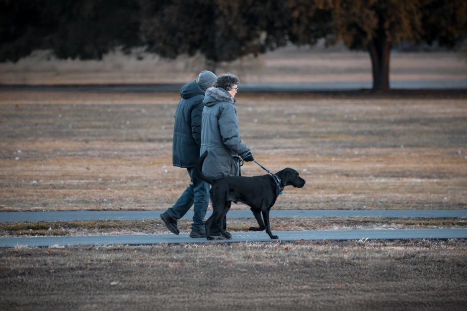daily walking & outdoor resets that take only a few minutes during a weekend morning — wellness · Walking & Outdoor