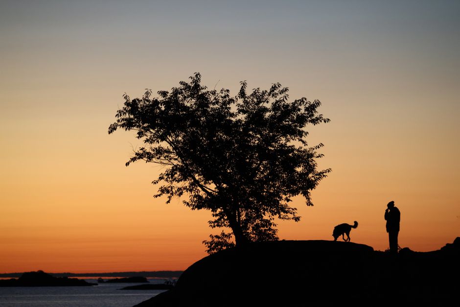Sunrise Walk before bedtime — wellness · Walking & Outdoor