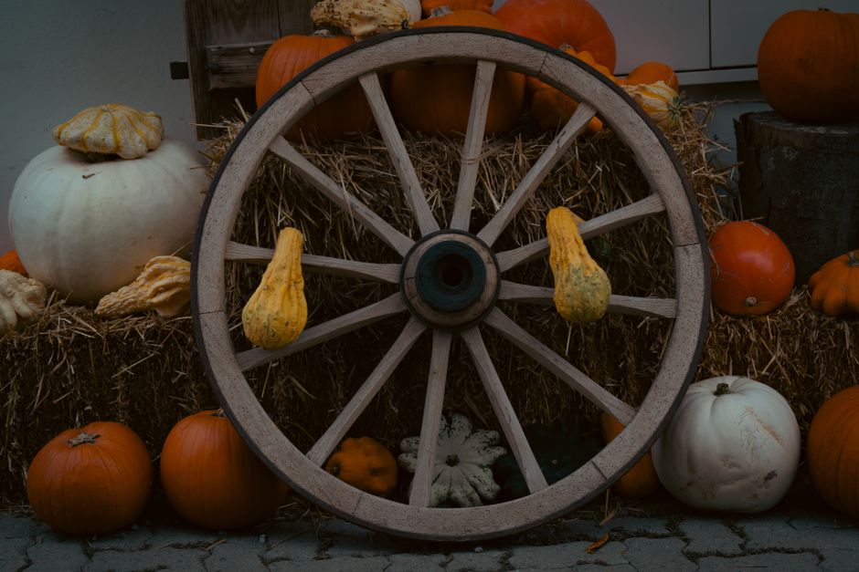 Pumpkin Doorway with a practical cleanup plan — celebrations · Halloween