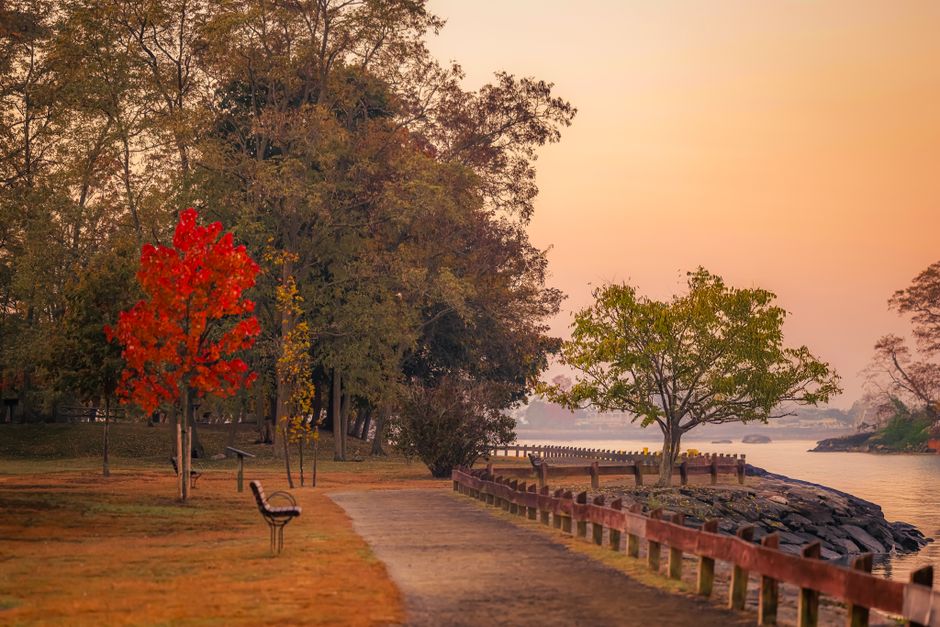 Park Loop during a morning transition — wellness · Walking & Outdoor