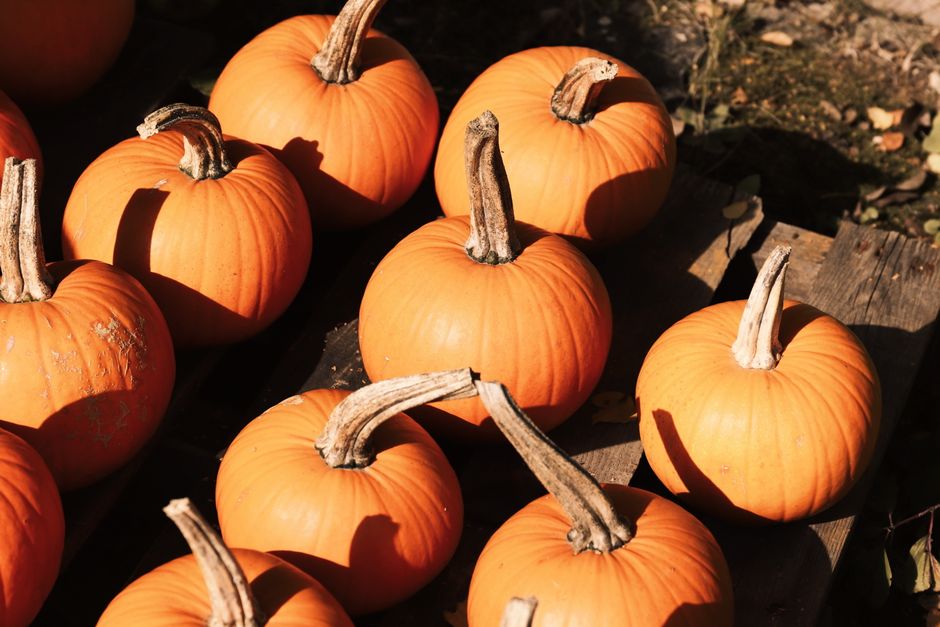 Place-Card Pumpkins around a themed snack table — celebrations · Thanksgiving