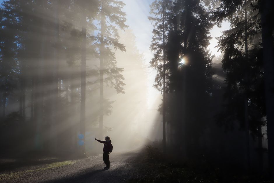 Walking Reminder — sunlight break easier during a digital detox — wellness · Healthy Habits