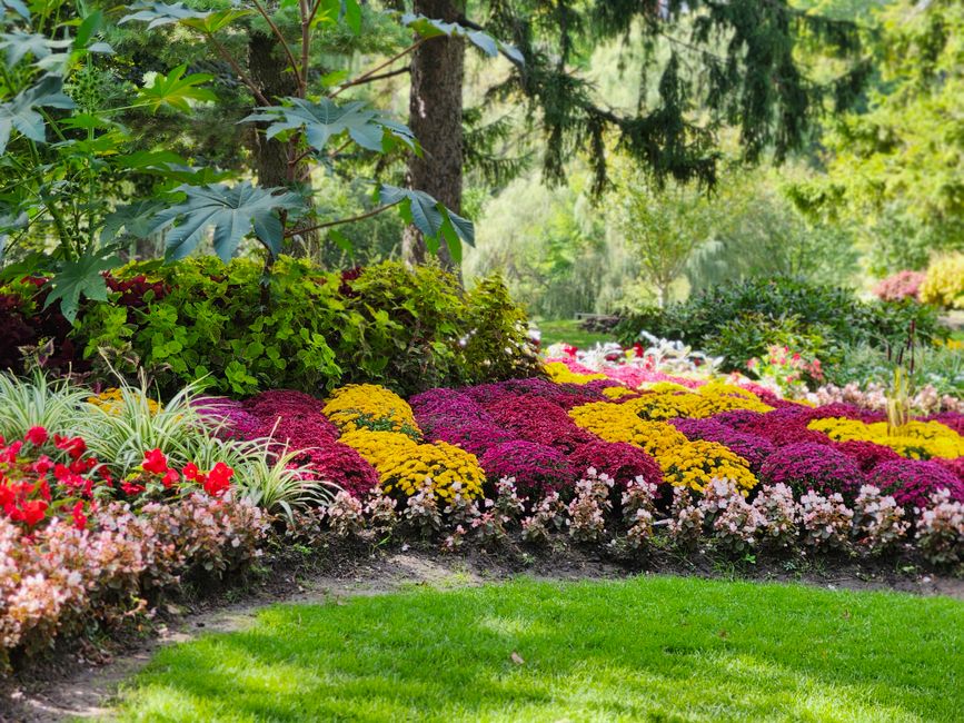 Try A Public Garden with a low-cost setup — entertainment · Things to Do