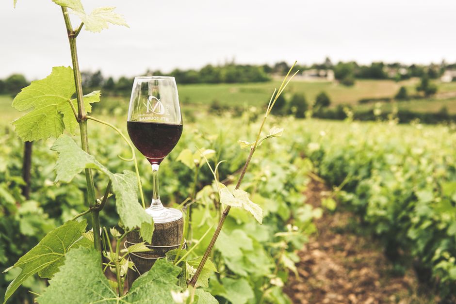 Vineyard Lunch near a memorable viewpoint — travel · Weekend Getaways