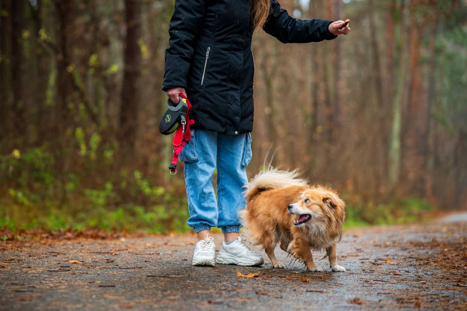 daily walking & outdoor resets that take only a few minutes after a late night after a late night — wellness · Walking & Outdoor