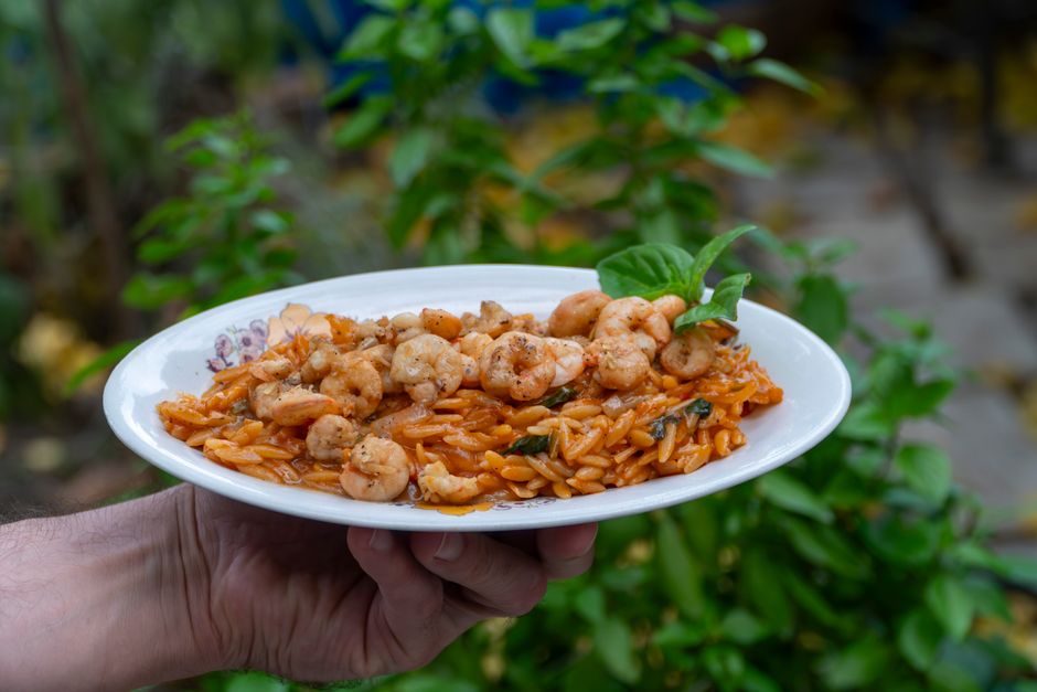Roasted Tomato Orzo — black bean tacos with creamy white beans — food · Dinner Ideas