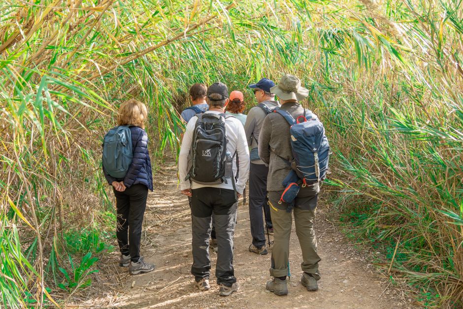 movement walking & outdoor breaks that fit into real schedules with gentle movement — wellness · Walking & Outdoor
