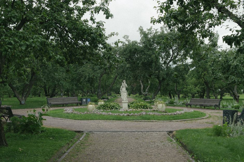 Try A Public Garden for a family gathering — entertainment · Things to Do