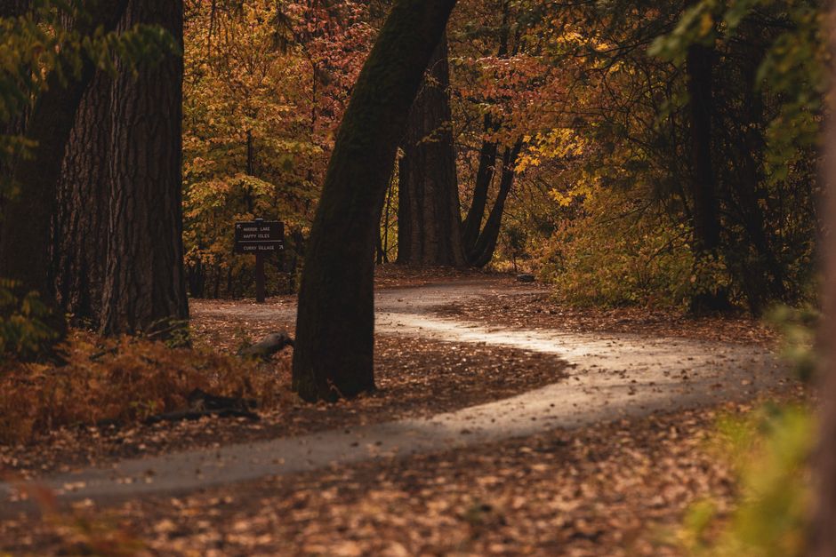 Park Loop with a sunlight habit — wellness · Walking & Outdoor