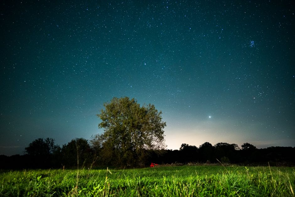 Stargazing Meadow near a public trail — travel · National Parks