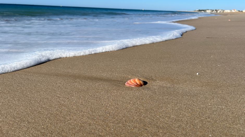 25 Beach Treasure Walk ideas for photographers