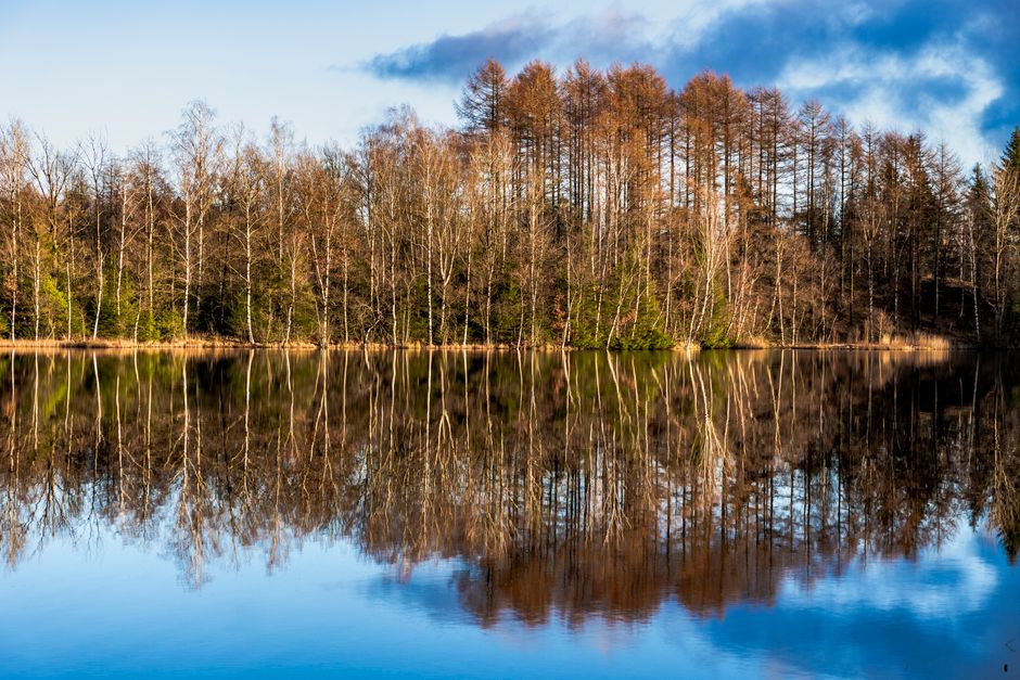 Reflections in Glass for learning new technique — diy-creativity · Photography