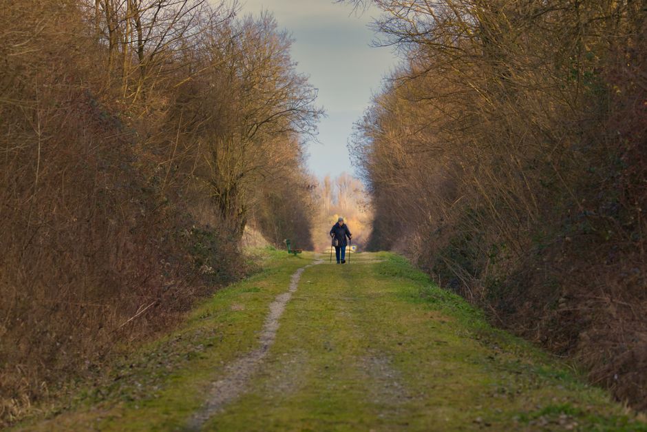 Quiet Walk for a thoughtful weekend — lifestyle · Self-Care