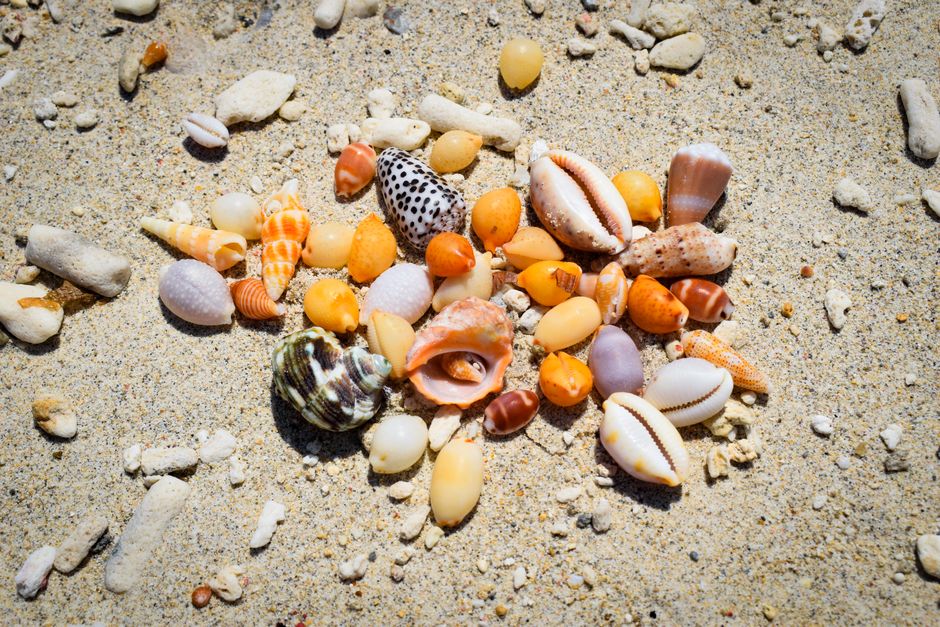 Beach Treasure Walk with a scenic detour — travel · Family Travel