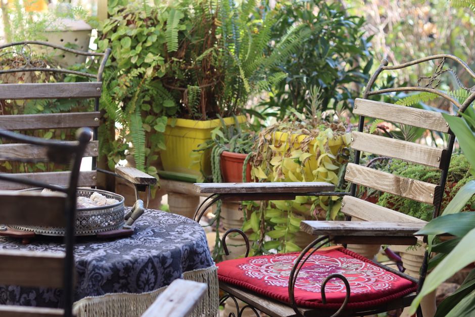 renter-friendly garden & outdoor details that look intentional around a statement mirror — home · Garden & Outdoor