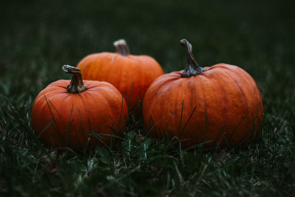 22 Place-Card Pumpkins ideas for getting guests involved