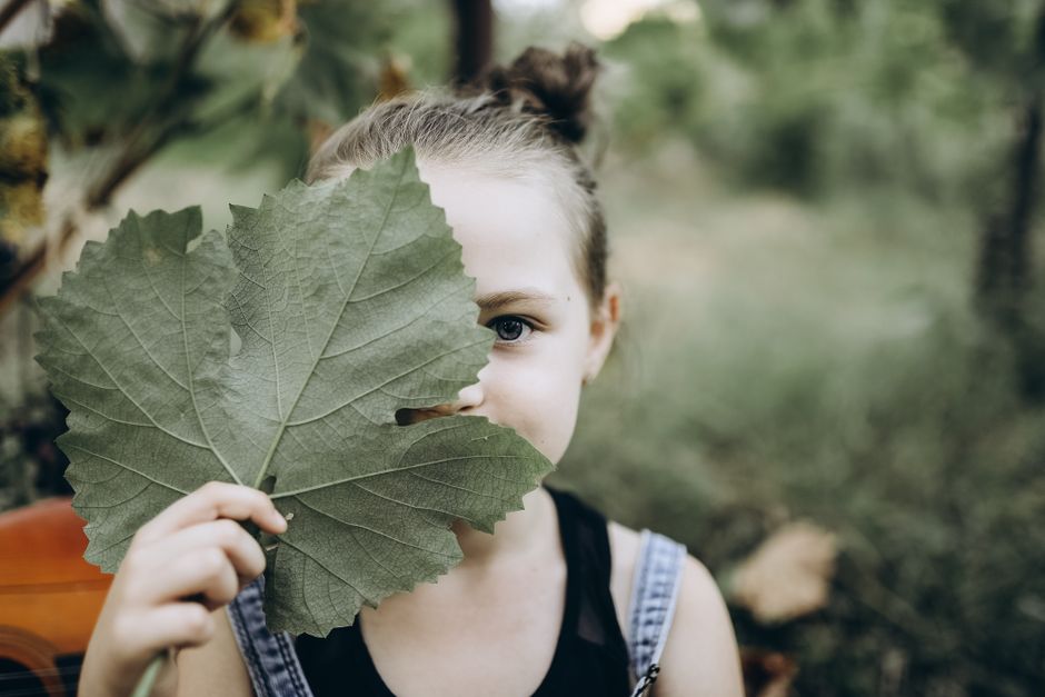 Backyard Nature Hunt with a storytelling round — entertainment · Family Fun