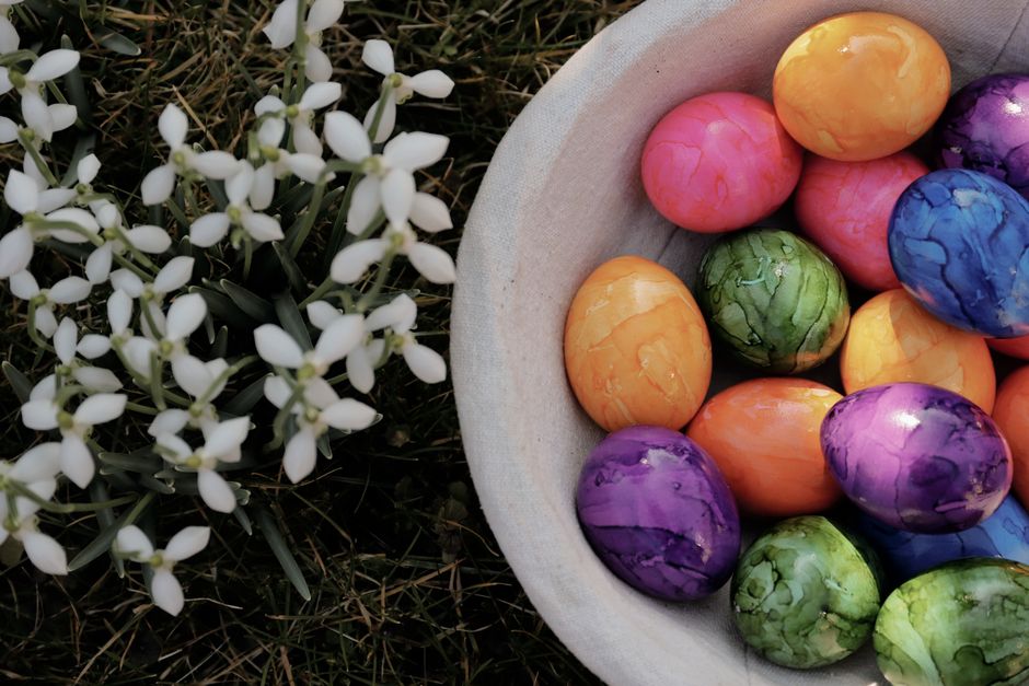 8 Garden Egg Hunt Ideas Beyond the Basic Search
