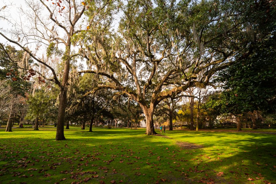 Savannah Squares with a sunset picnic — travel · USA Travel