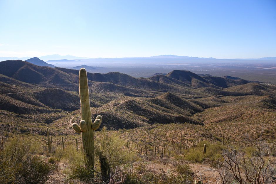 Desert Viewpoint with a flexible return route — travel · Road Trips