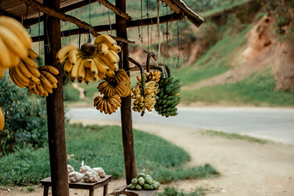Roadside Farm Stand around an art-filled neighborhood — travel · Road Trips